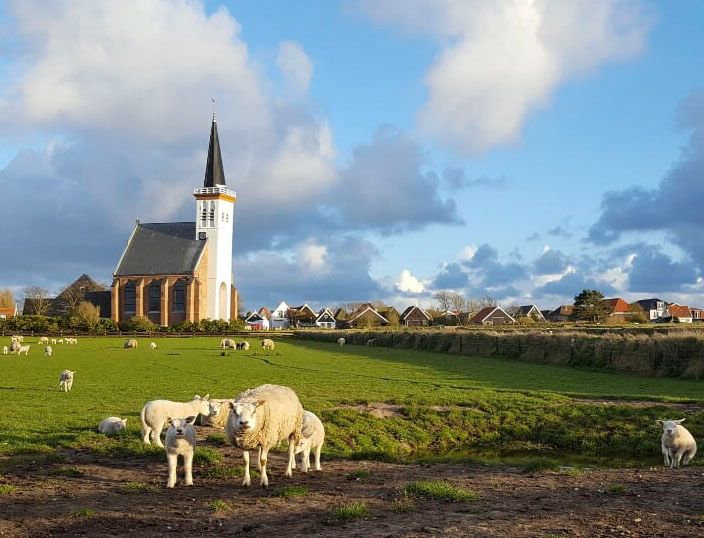 Den Hoorn